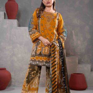 Stunning Amira Ushnota 3 PC set for women Bangladesh